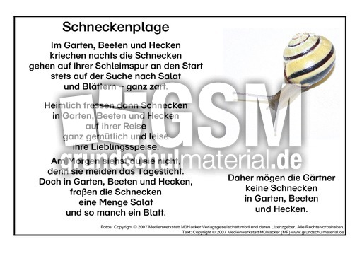 Schnecken.pdf